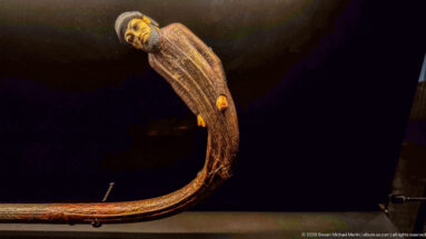 Dark curved wooden staff ending in a sculpted human head, with visible longitudinal grain and small projecting details on the shaft.