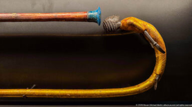 Yellow-gold curved cane ending in a bird head with projecting beak and dark feather details, beside a staff with blue fitting.