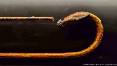 Long curved ancient cane with painted animal-head terminal, pointed ears, elongated snout, and reddish-gold decorated shaft.