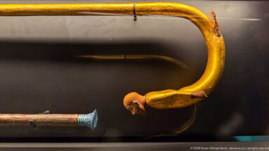 Curved gilded walking stick with sculpted human head integrated into the bend, shown above another decorated staff segment.