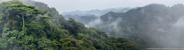 Steep forested mountain peaks rising through drifting mist, with distant ridges fading into gray cloud.