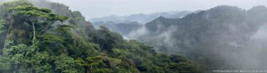 Steep forested mountain peaks rising through drifting mist, with distant ridges fading into gray cloud.