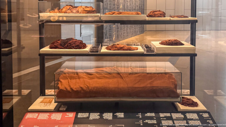 Glass case with folded cloth bundles and several reddish-brown organic objects arranged on shelves.