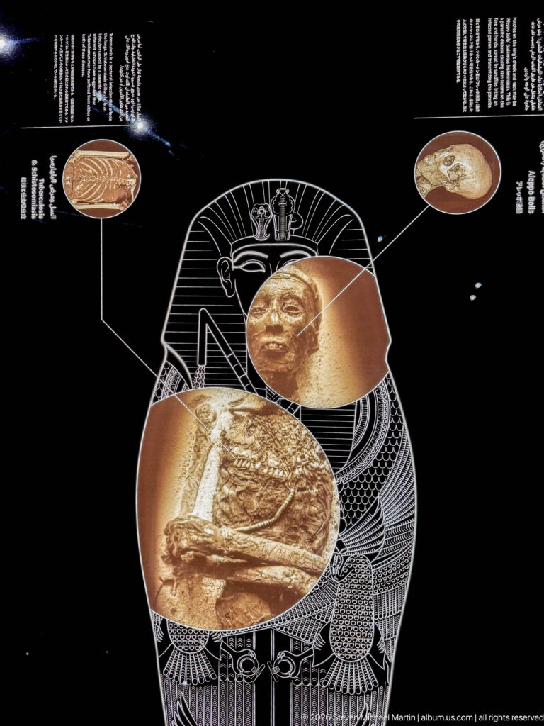 Close digital museum graphic with coffin outline, two enlarged artifact details, and callout lines.
