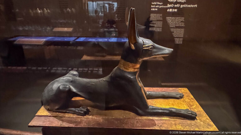 Profile of black jackal-form Anubis with erect ears and extended forelegs on Tutankhamun’s carrying chest.