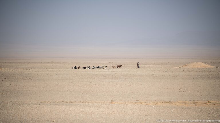 Small herd and lone herder crossing a broad pale desert plain beneath a hazy blue-gray sky.