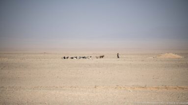 Small herd and lone herder crossing a broad pale desert plain beneath a hazy blue-gray sky.