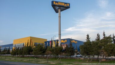 Blue-and-yellow IKEA store and tall pole sign behind roadside trees and landscaped grounds in Amman.