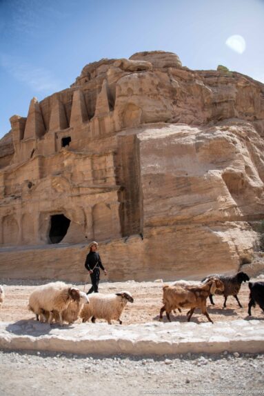 Goats and a herder cross sandy ground below rock-cut tomb openings in Petra’s sandstone escarpment.