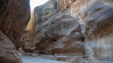 Narrow pale pathway threads between towering gray-brown sandstone walls in Petra’s Siq.