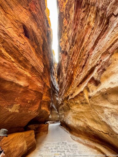 Empty pathway curves through Petra’s Siq between high, banded sandstone walls with deeply eroded surfaces.