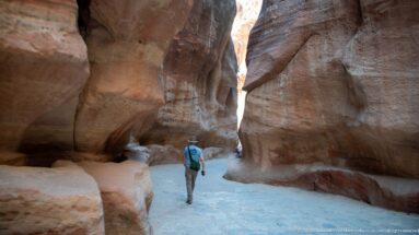 Visitor walks through a tall narrow corridor of Petra’s Siq between smoothly eroded sandstone walls.