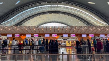 Travelers standing in check-in queues beneath a sweeping airport roof with illuminated counter screens.