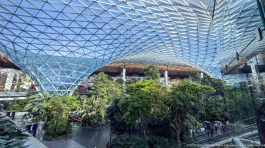 Upper-level view across The Orchard’s tropical trees and escalators beneath the blue-tinted grid-shell roof at Hamad International Airport.