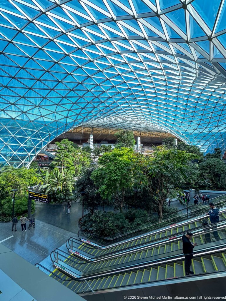 Wide view of The Orchard with tropical trees, escalators, walkways, and the sweeping lattice roof at Hamad International Airport.