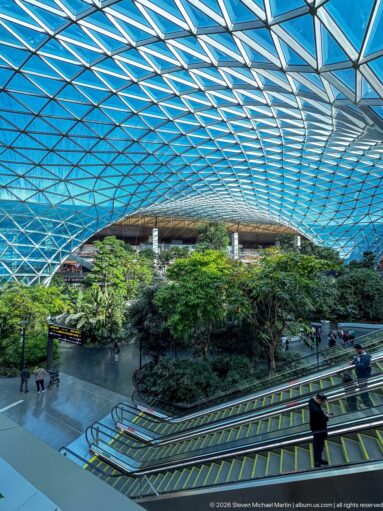 Wide view of The Orchard with tropical trees, escalators, walkways, and the sweeping lattice roof at Hamad International Airport.