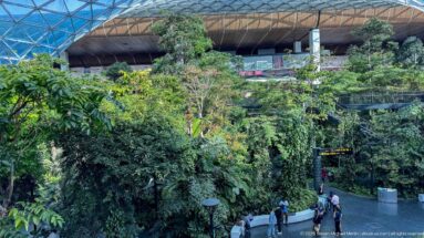 Dense indoor tropical garden with travelers and escalators beneath the roof of The Orchard at Hamad International Airport.