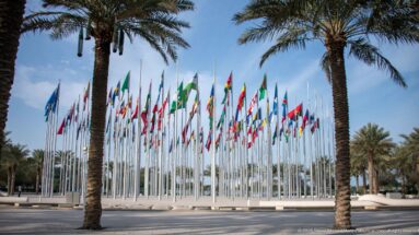 Wide view of Doha’s Flag Plaza with many national flags framed by tall date palms beside a roadway.