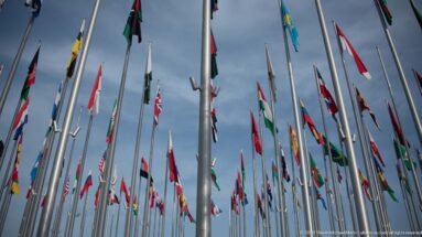 Dense field of national flags on tall poles at Flag Plaza beside the Museum of Islamic Art Park in Doha.