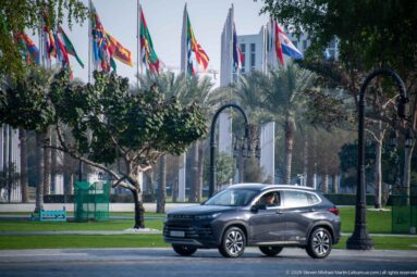 Dark SUV driving past palms, lawns, decorative lamps, and rows of international flags on a Doha boulevard.