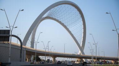 Large white network-arch bridge over a multilane road with cable webbing and modern streetlights.