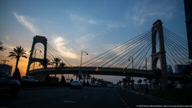 Cable-supported pedestrian bridge with two tall pylons crossing a palm-lined Doha boulevard at sunset.