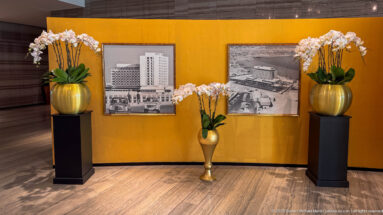 White orchids in gold planters arranged around two black-and-white historic hotel photographs on an ochre wall.
