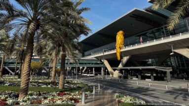 Airport terminal canopy above a curbside road, framed by date palms, flower beds, and a large yellow hanging emblem.