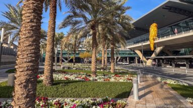Palm trees and flower beds beside the glass-and-steel exterior of Hamad International Airport.