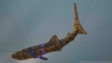 Large metallic whale-shark sculpture hangs from cables overhead, its spotted surface catching colored light.