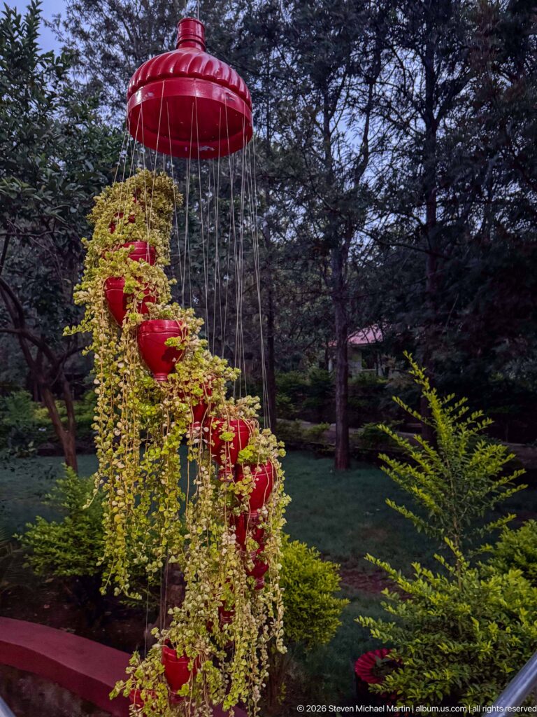 Tiered red hanging pots overflowing with long yellow-green trailing plants against a dark garden background.