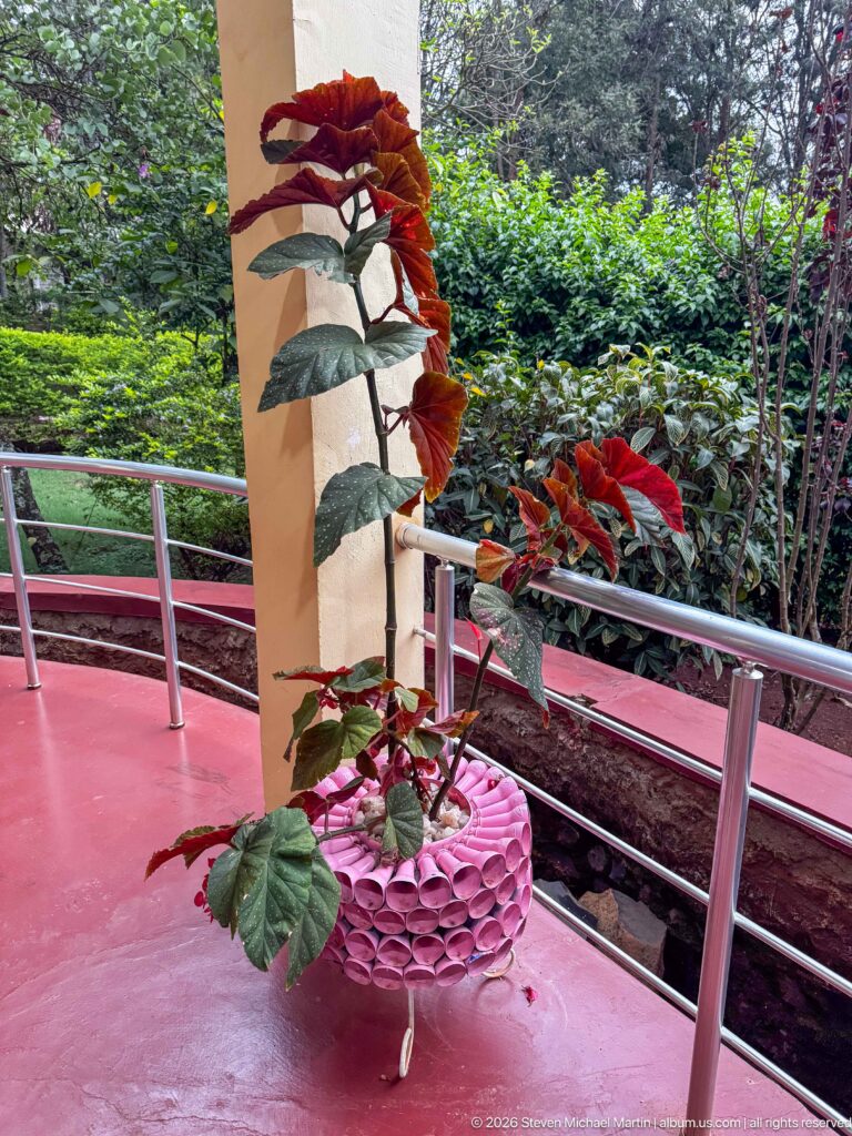 White swan-shaped planter made from a cut tire, holding red-leaved plants on a red terrace beside a garden.