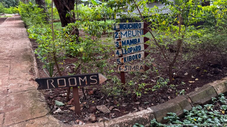 Hand-painted garden signs list animal-named rooms and a separate arrow marked ROOMS beside a narrow path.
