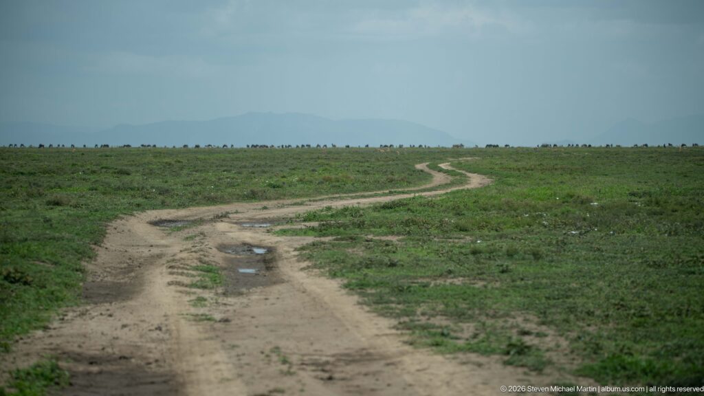 Winding rutted dirt track crossing green Serengeti grassland toward distant wildlife and hazy highlands.