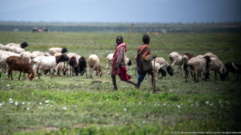 Two pastoral herders carrying staffs beside a mixed flock of sheep and goats on green open grassland.