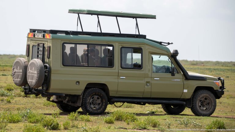 Green four-wheel-drive safari vehicle with raised viewing roof, passengers inside, and two spare tires mounted at the rear.