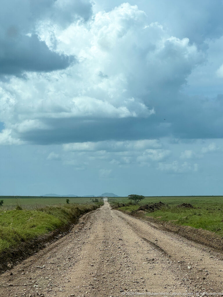 Straight gravel road crossing empty green Serengeti plain beneath broad layers of dark storm clouds.