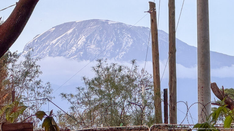 Snow-streaked upper slopes of Mount Kilimanjaro beyond trees, utility poles and low cloud.