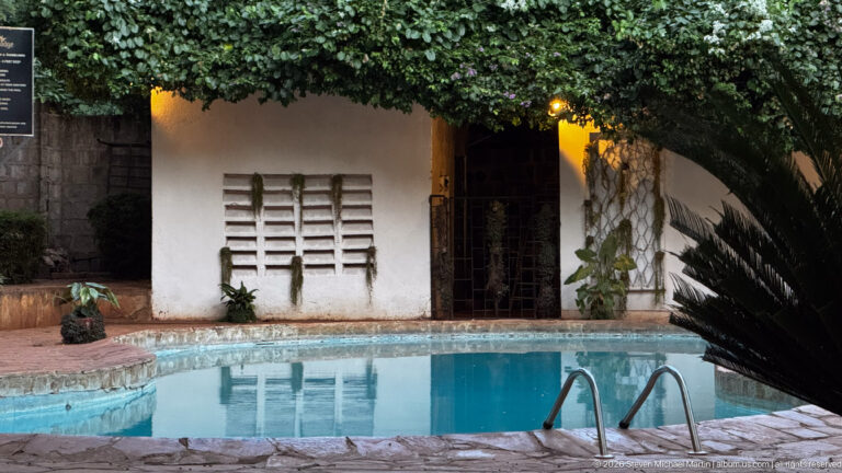 Curved swimming pool beside a white guesthouse wall with ventilation blocks, doorway and overhanging tree canopy.