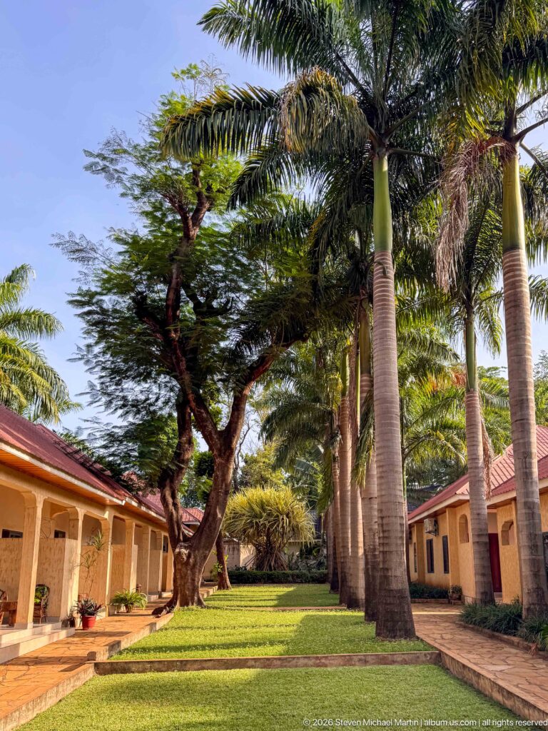 Landscaped lodge courtyard with tall palms, a large spreading shade tree, green lawn, and low buildings on both sides.