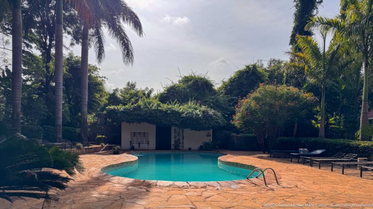 Curving turquoise swimming pool with stone paving, metal ladder, lounge chairs, palms, and dense garden vegetation.