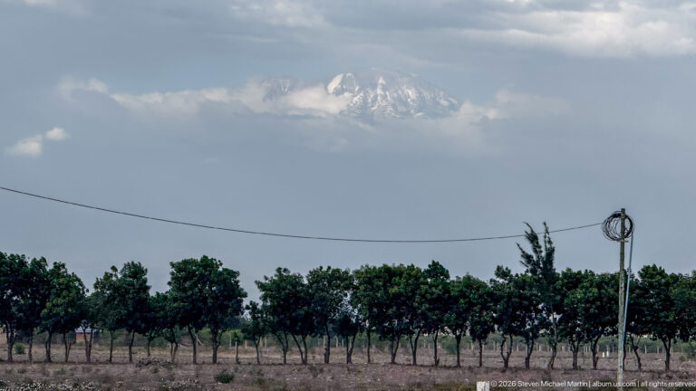 Cloudy view of Mount Kilimanjaro beyond evenly spaced tree rows and a crossing utility line.