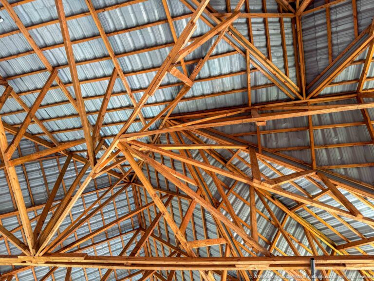Upward view of intersecting timber roof trusses and braces beneath corrugated metal roofing.
