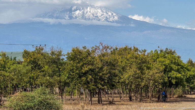 Kilimanjaro