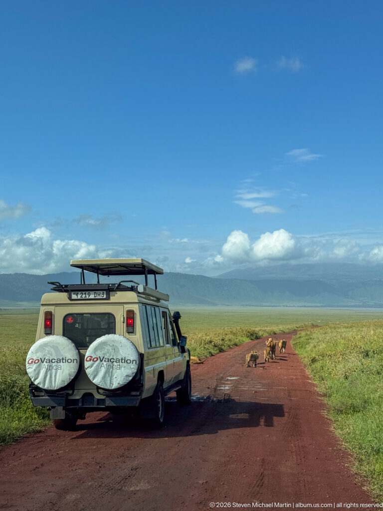 Safari vehicle stopped on a red road while lions lie and stand ahead beneath the crater wall.
