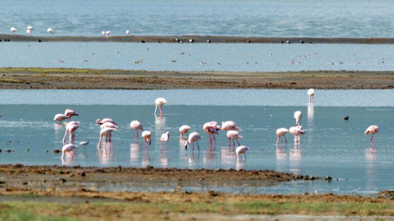 Distant pink flamingos gathered in shallow blue pools separated by broad muddy bars.