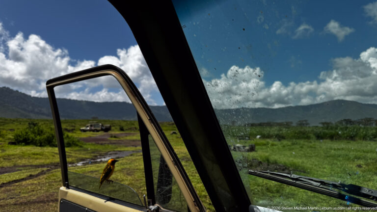 Small yellow-and-dark bird perched on an open safari-vehicle door with crater grassland and another vehicle beyond.