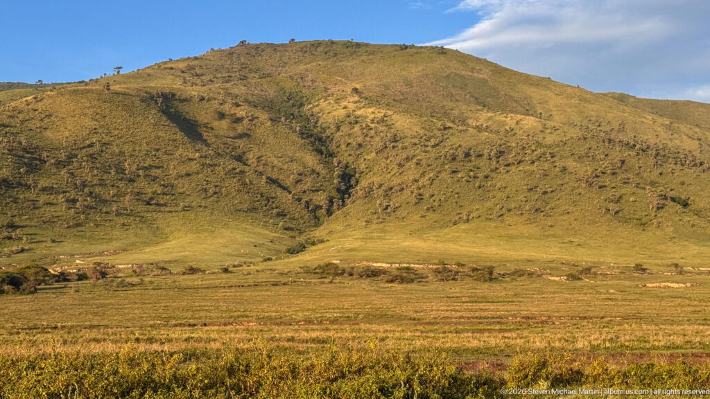 Sunlit gullies descending the tawny-green inner wall of Ngorongoro Crater toward the flat grassland floor.