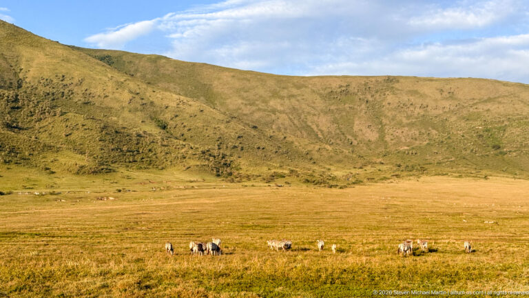 Broad sunlit Ngorongoro Crater wall rising above flat grassland with small grazing animals in the foreground.