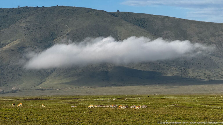 Low white cloud draped across the steep green wall of Ngorongoro Crater above open grassland.